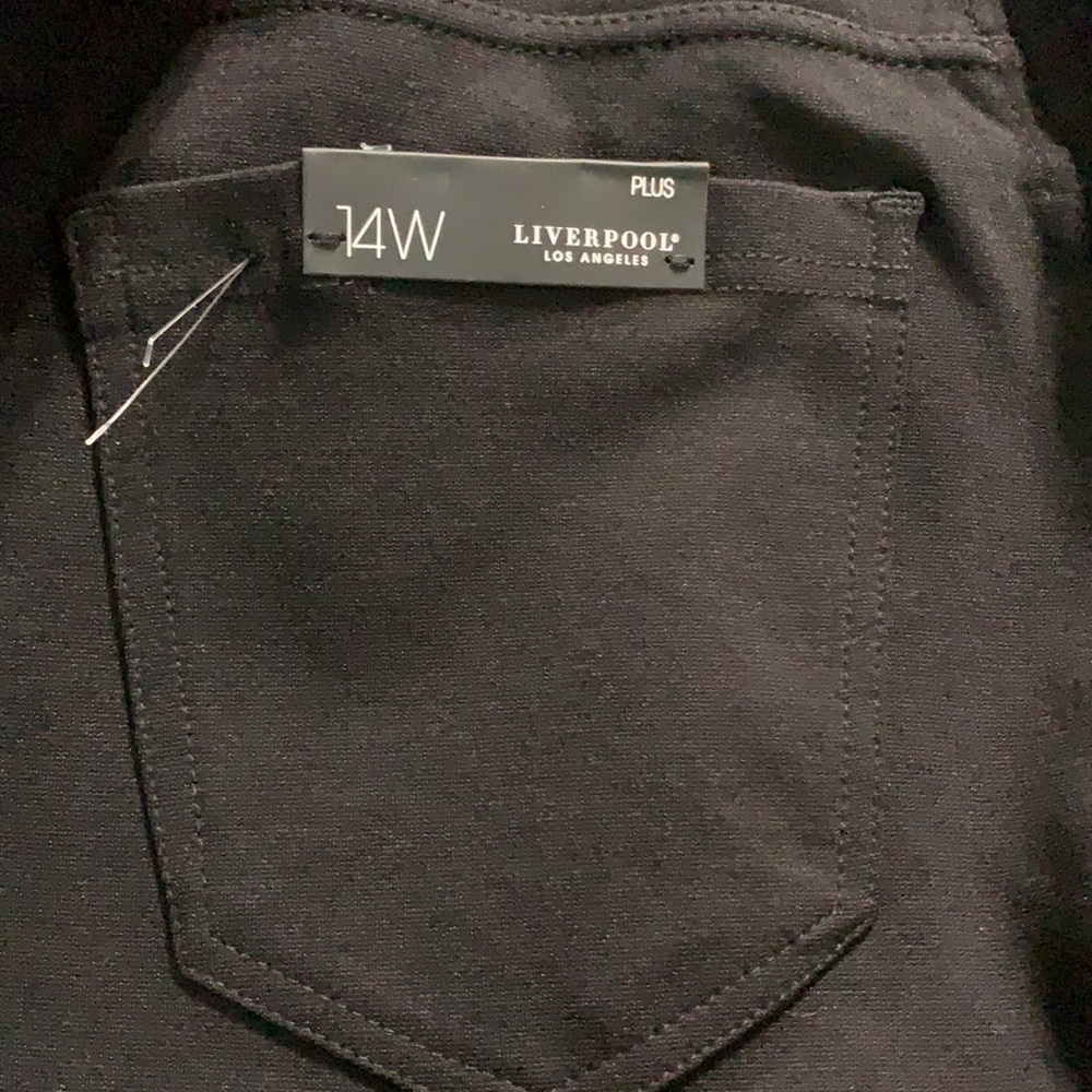 Liverpool Los Angeles MATERNITY SIENNA LEGGING - Picture 3 of 15